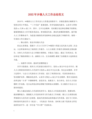 乡镇人大工作总结范文
