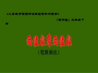 两位数乘两位数 (2)