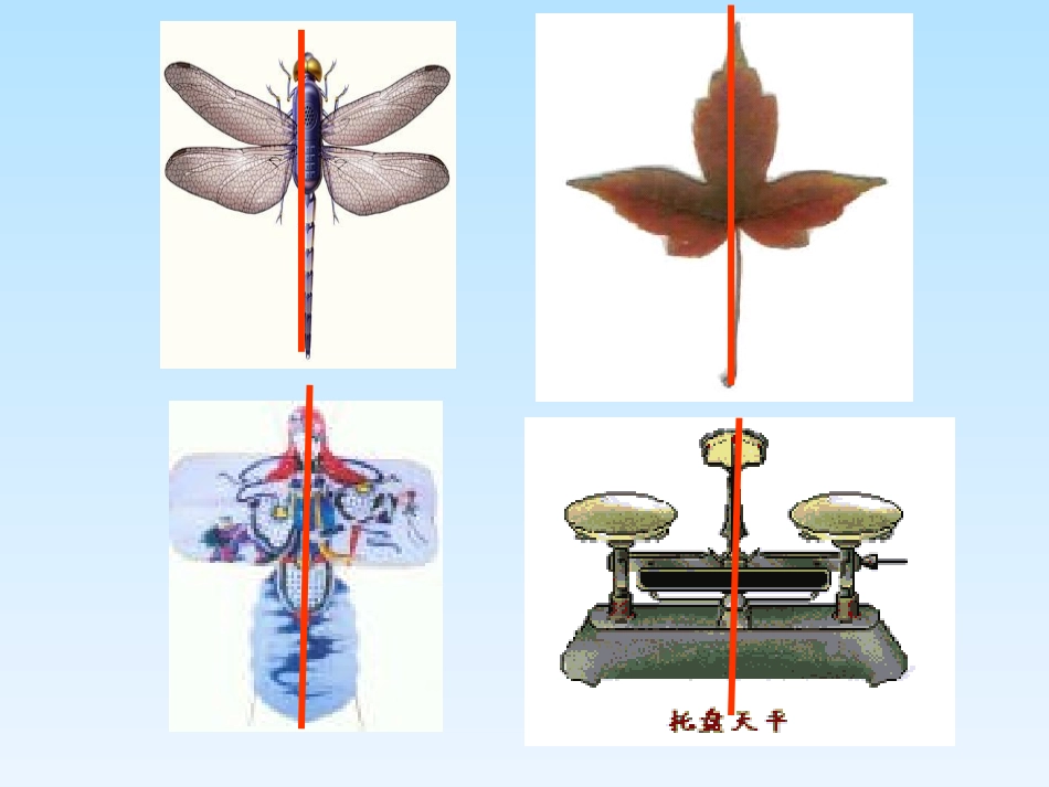 轴对称完整PPT课件_第2页