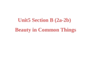 六课时SectionB2a-2dUnit-5what_are_the_shirts_made_of课件_Section_B_2a-2e