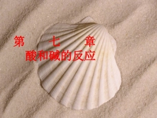 江苏省仪征市月塘中学九年级化学全册酸和碱的反应课件沪教版