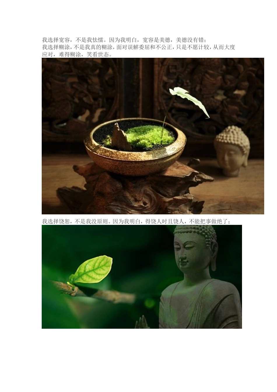 我选择善良，不是我软弱。_第2页