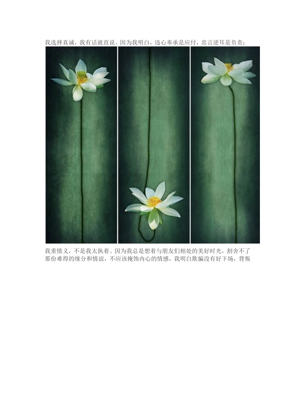 我选择善良，不是我软弱。_第3页