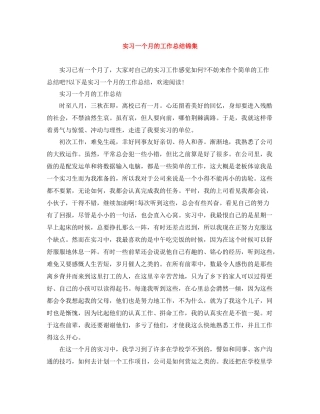 实习一个月的工作总结锦集