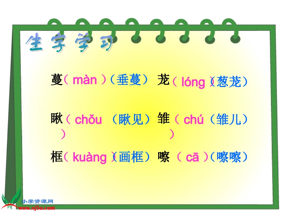 《珍珠鸟》课件_第3页