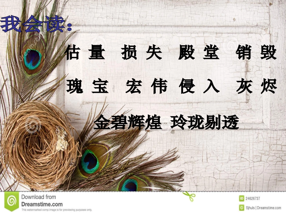 圆明园的毁灭课件 (2)_第3页