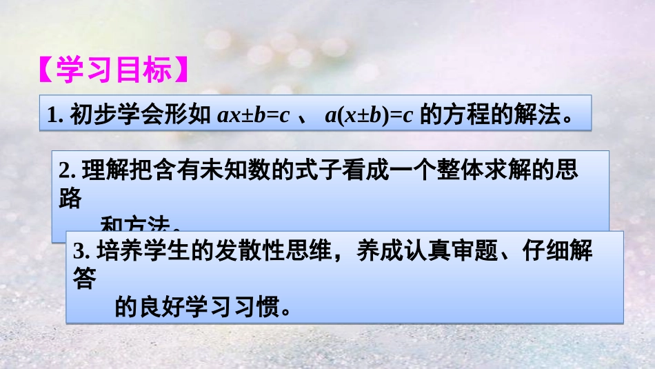 第5课时解方程（3）_第2页
