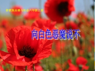 向白色恶魔说不