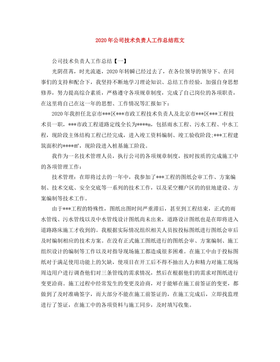 2020年公司技术负责人工作总结范文_第1页