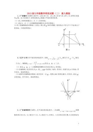 2013届九年级数学培优试题（二）（无答案） 新人教版