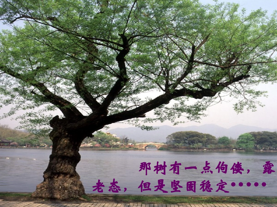 广东省广州市花都区赤坭中学九年级语文下册10那树课件2新人教版_第1页