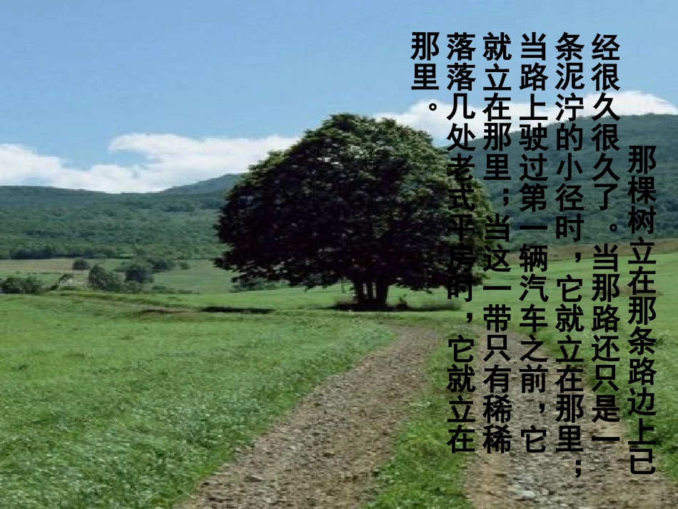 广东省广州市花都区赤坭中学九年级语文下册10那树课件2新人教版_第2页