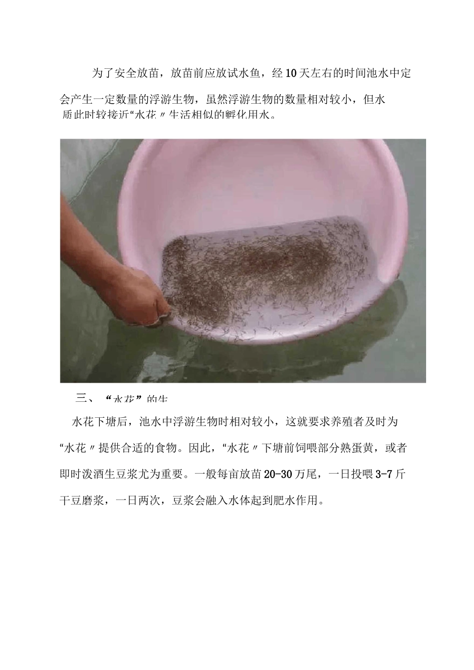 水花(鱼苗)培育的技术思考_第3页