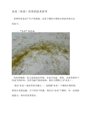 水花(鱼苗)培育的技术思考