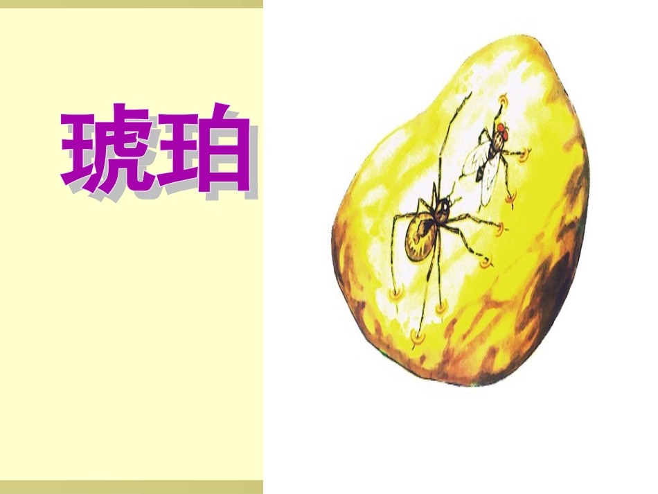 课件2：琥珀_第1页