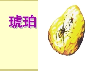 课件2：琥珀