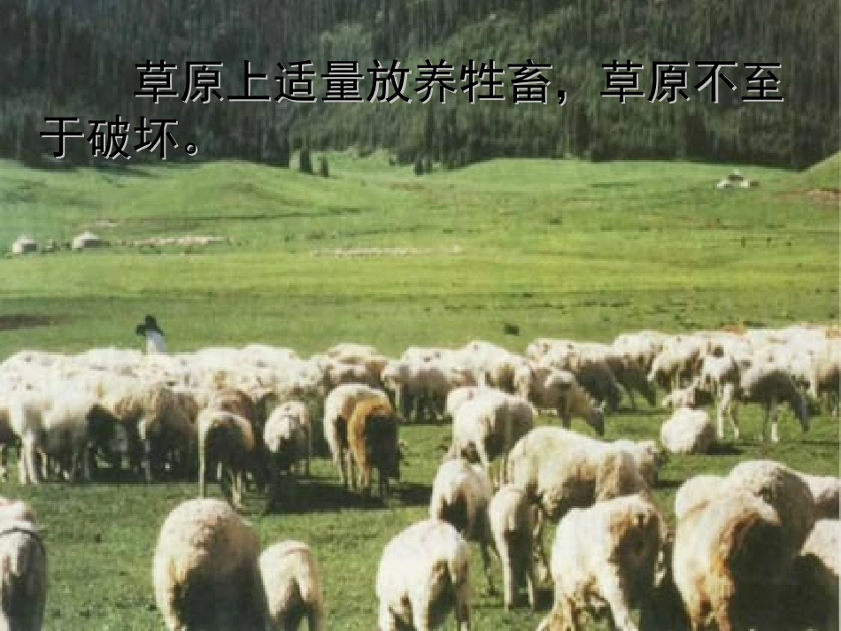 江西省安义中学高中生物5.5生态系统的稳定性课件新人教版必修3_第3页