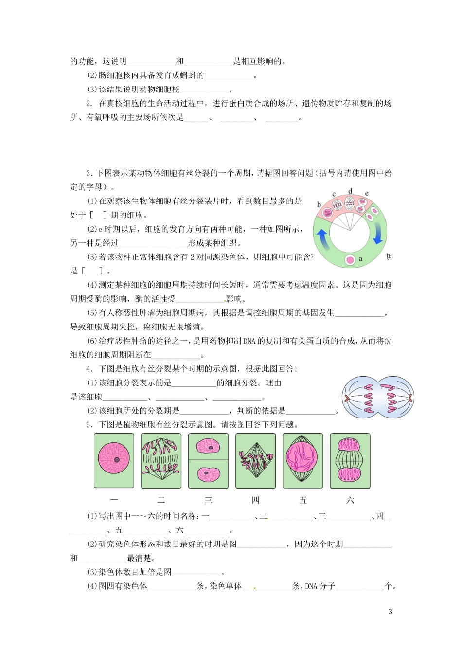 高中生物《第六章 细胞的生命历程》专项测试题 新人教版必修1_第3页