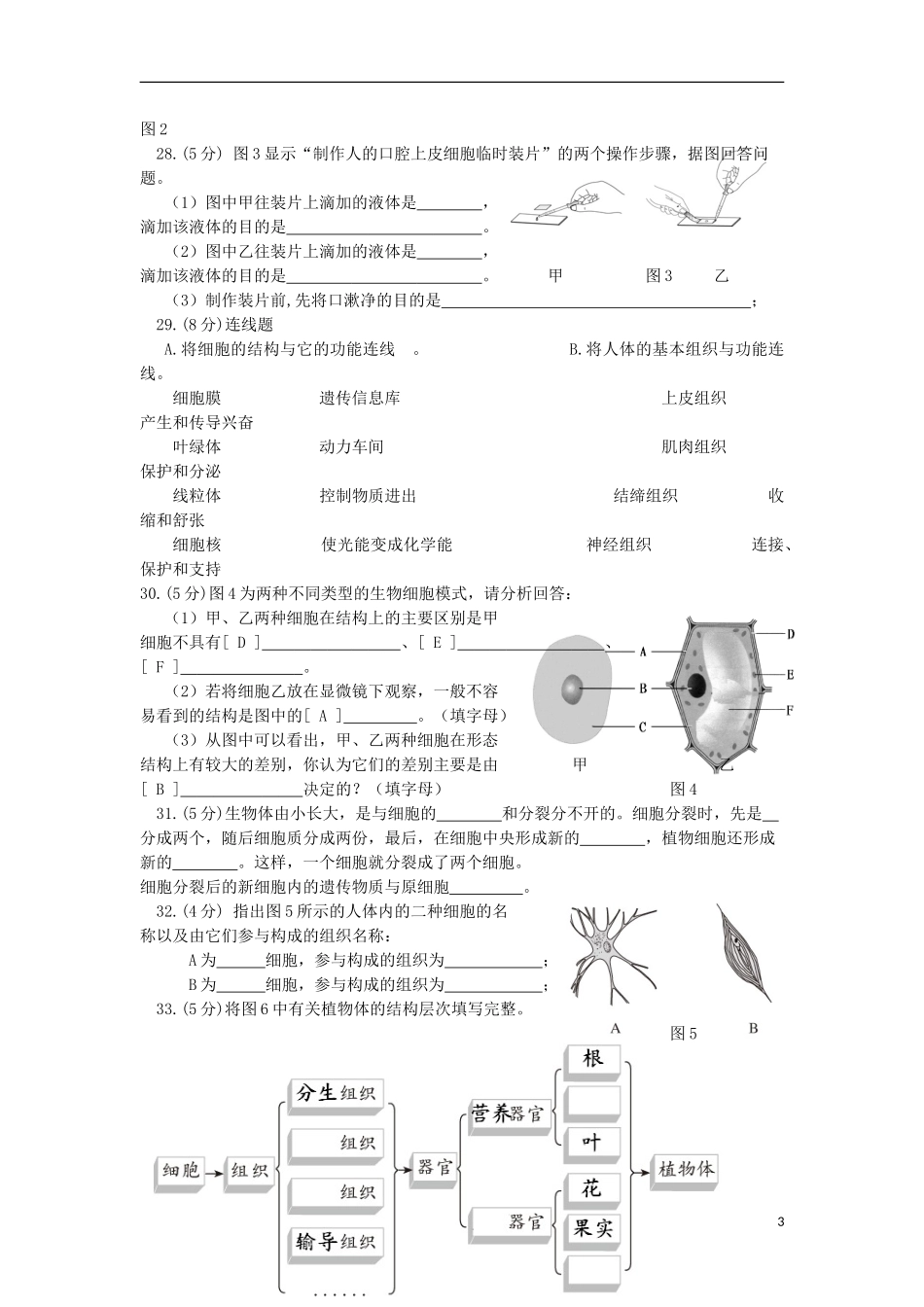 湖南省岳阳市陆城中学等五校2015_2016学年七年级生物上学期期中联考试卷无答案新人教版_第3页
