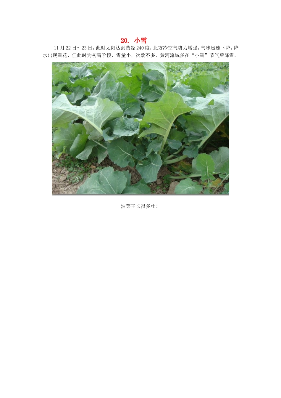 2015年高中地理24节气摄影素材20小雪_第1页