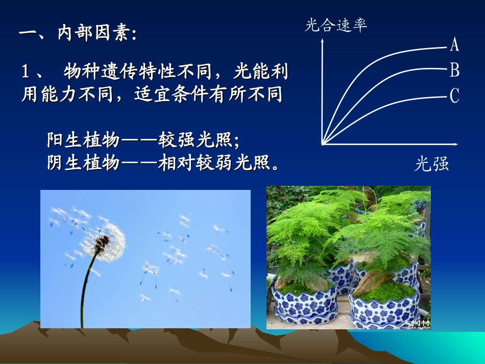 影响光合作用的因素（研究课）_第3页