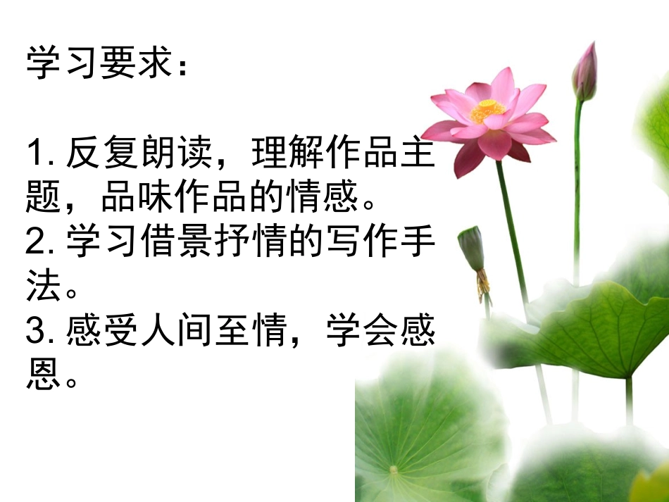 《荷叶母亲》课件 (2)_第2页