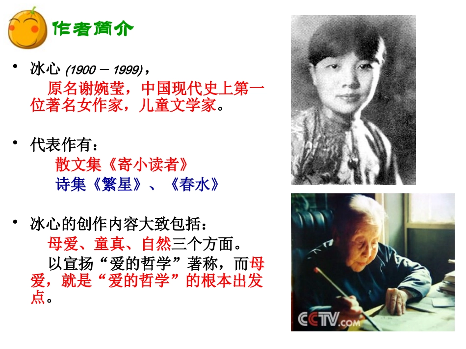 《荷叶母亲》课件 (2)_第3页