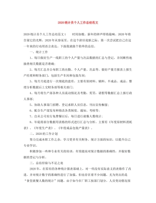 统计员个人工作总结范文