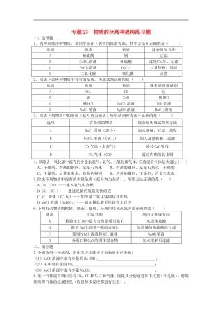 湖北省孝感市孝南区肖港镇肖港初级中学中考化学专题23物质的分离和提纯练习无答案