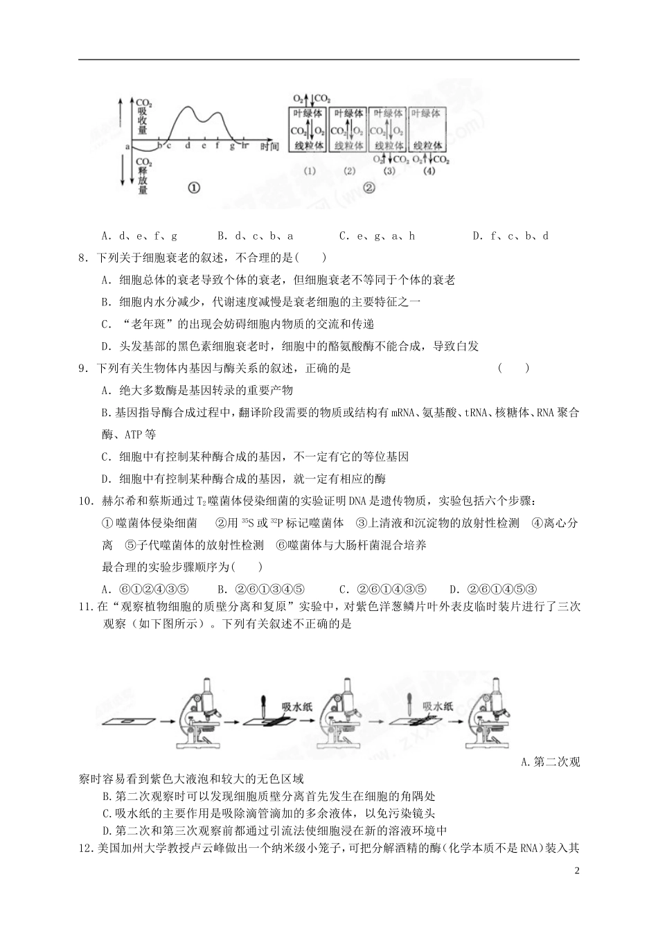湖北省2016届高三生物上学期第四次月考试题_第2页