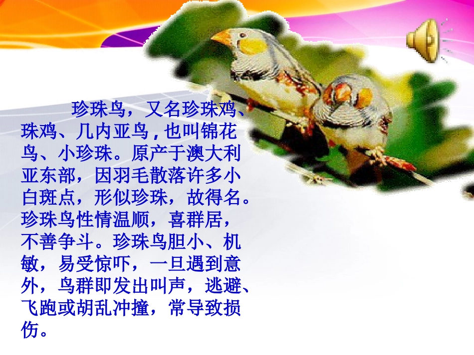 《珍珠鸟》教学课件1(1)_第2页
