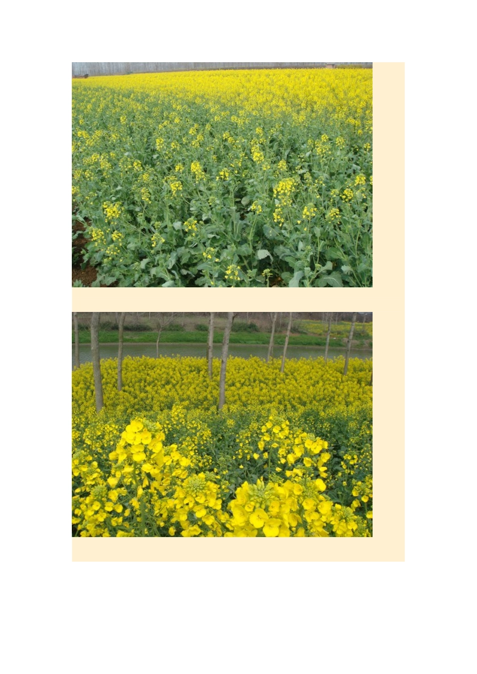 2015年高中地理24节气摄影素材4春分_第2页