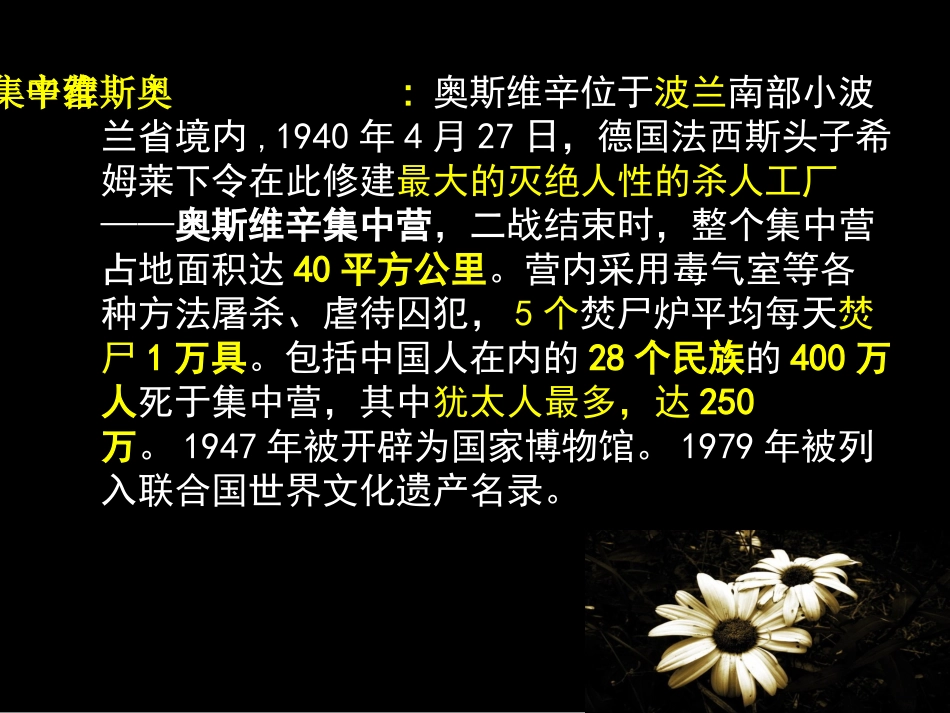 奥斯维新没有什么新闻定稿_第3页