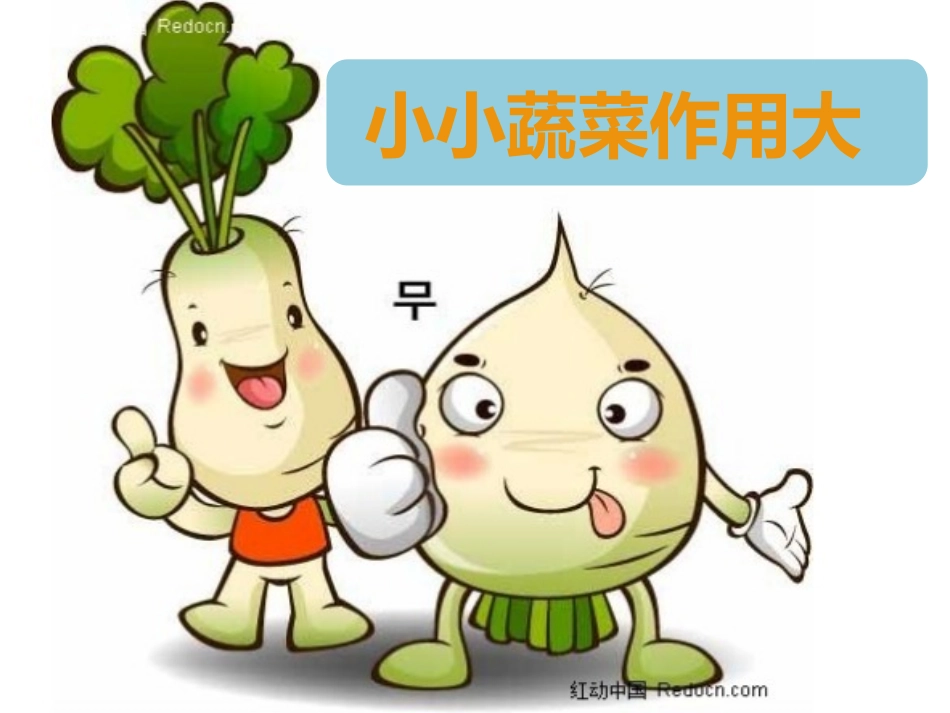 小小蔬菜作用大_第1页