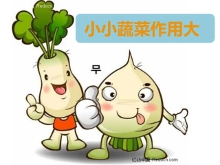 小小蔬菜作用大
