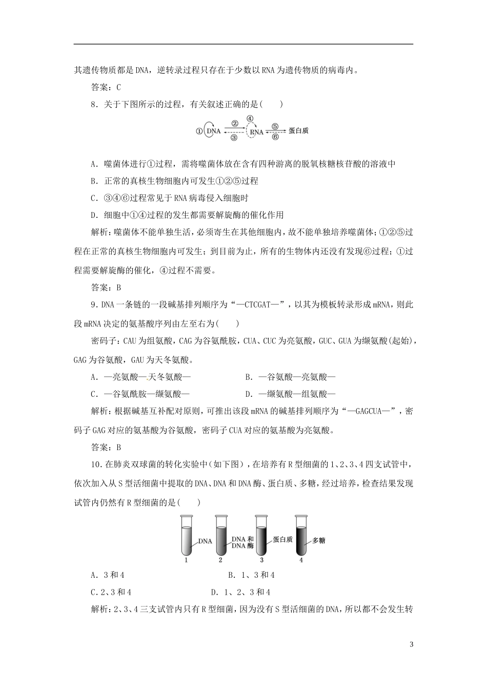 高中生物 基因的本质基因的表达阶段质量检测（三）新人教版必修2_第3页