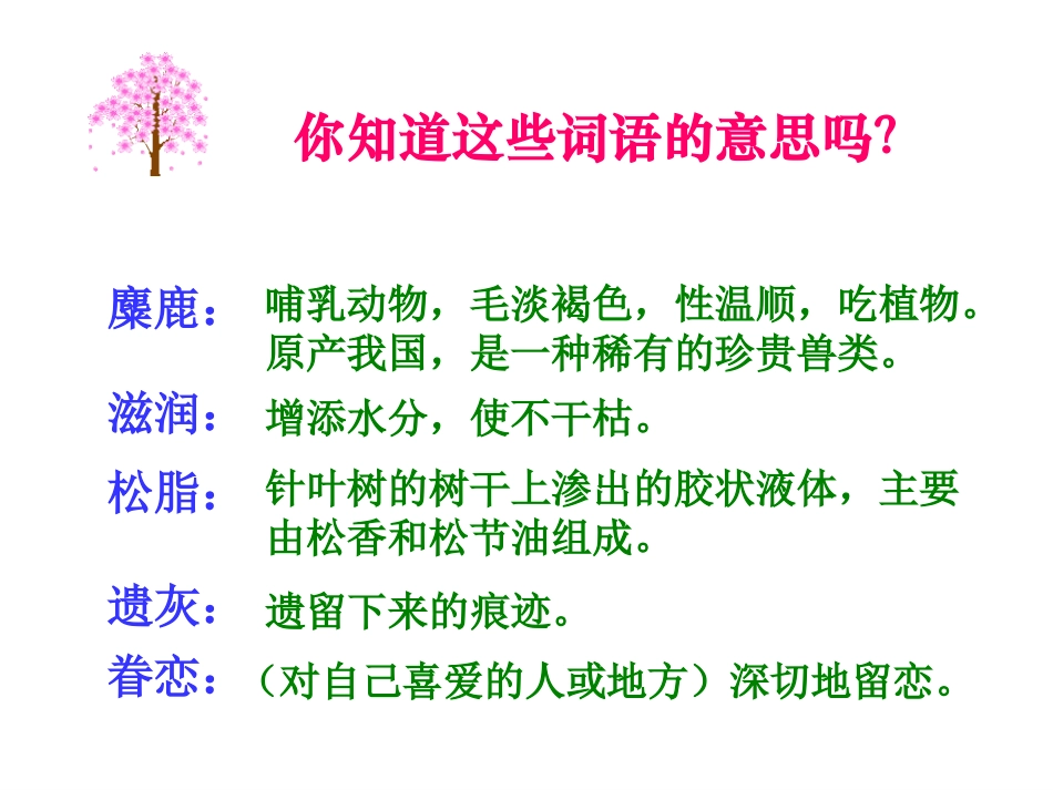 《这片土地是神圣的》课件 (2)_第3页