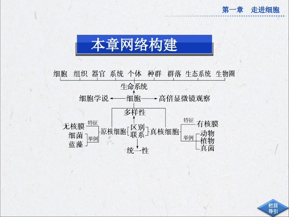 第一章本章优化总结_第2页