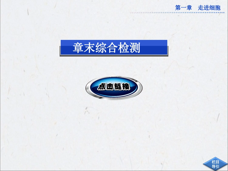 第一章本章优化总结_第3页