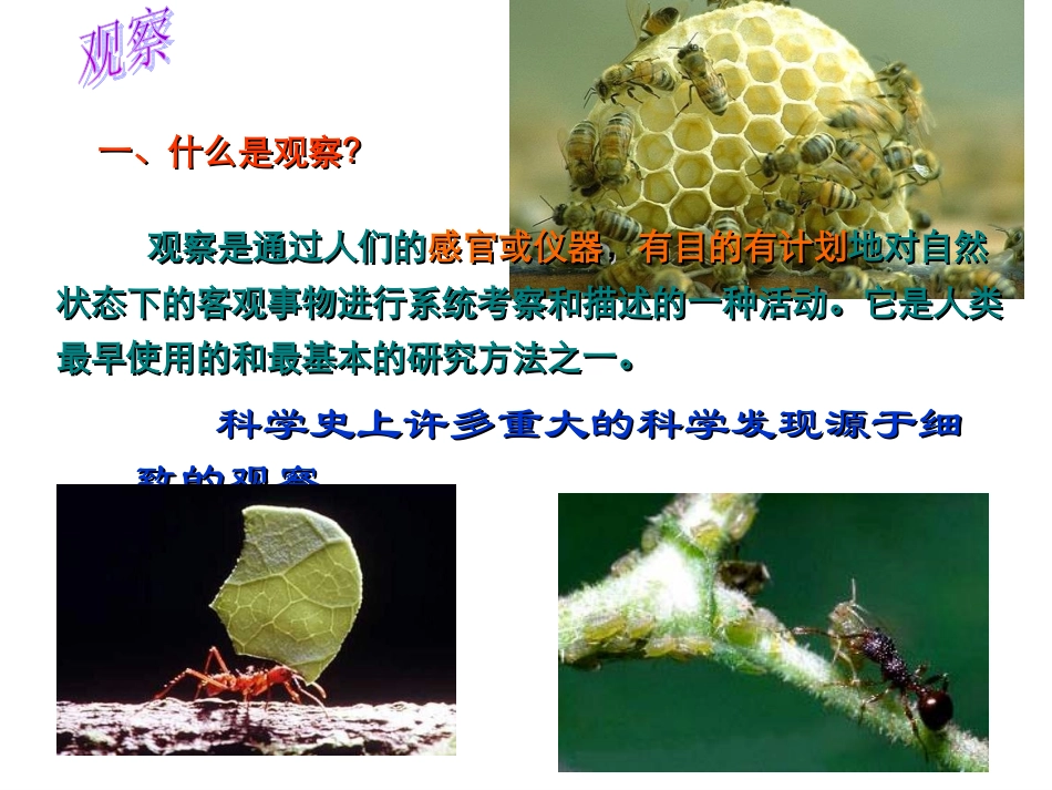 第二节观察和实验_第3页