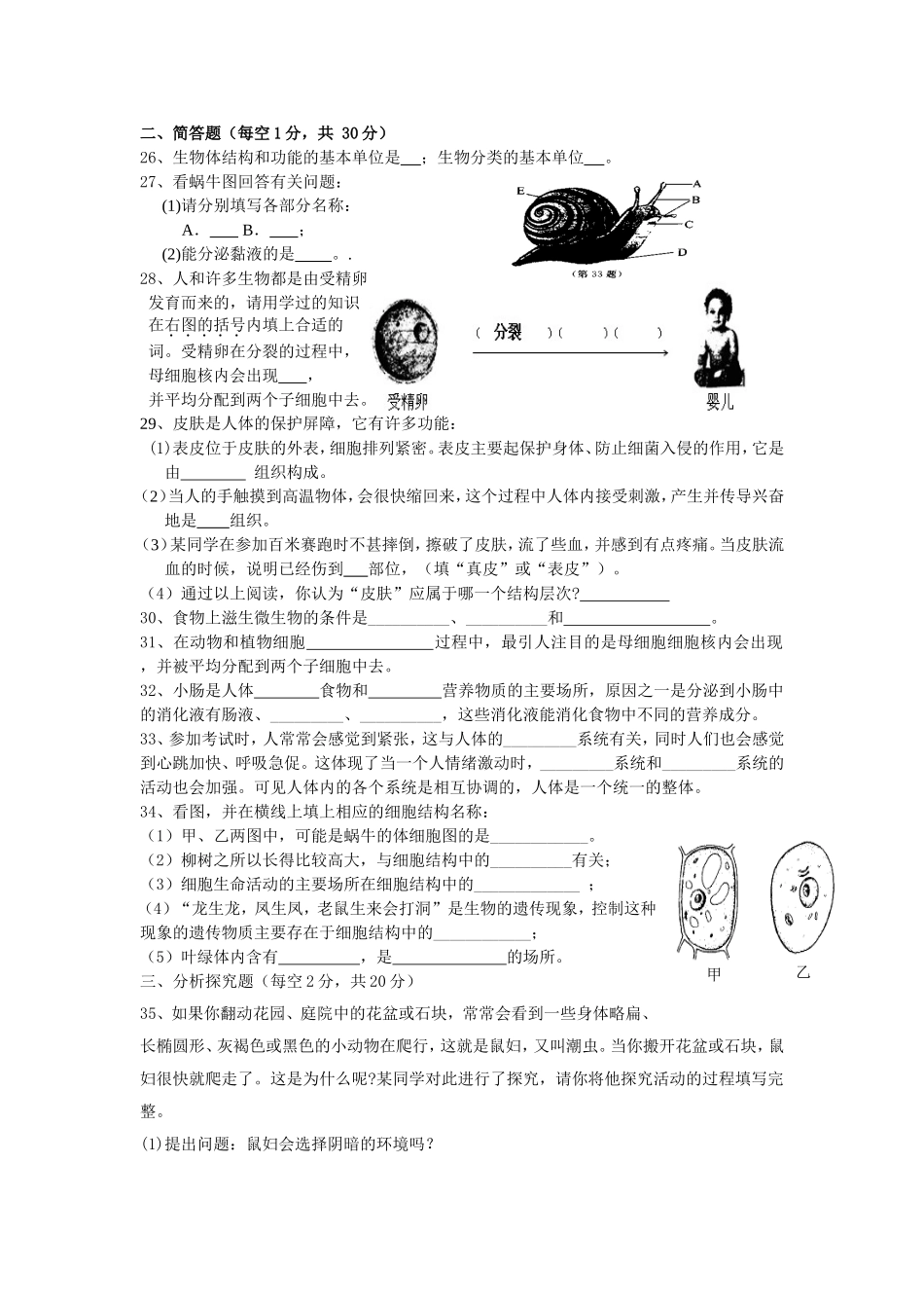 七上第二章易错题_第3页