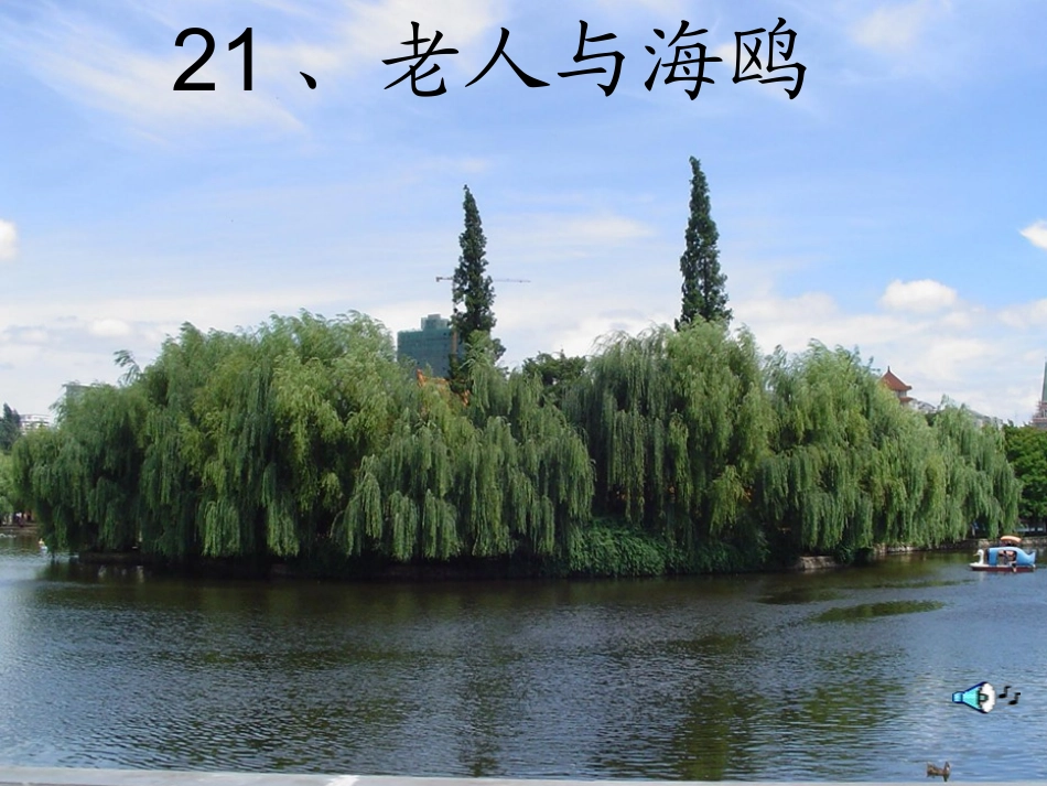 老人与海鸥 (2)_第1页