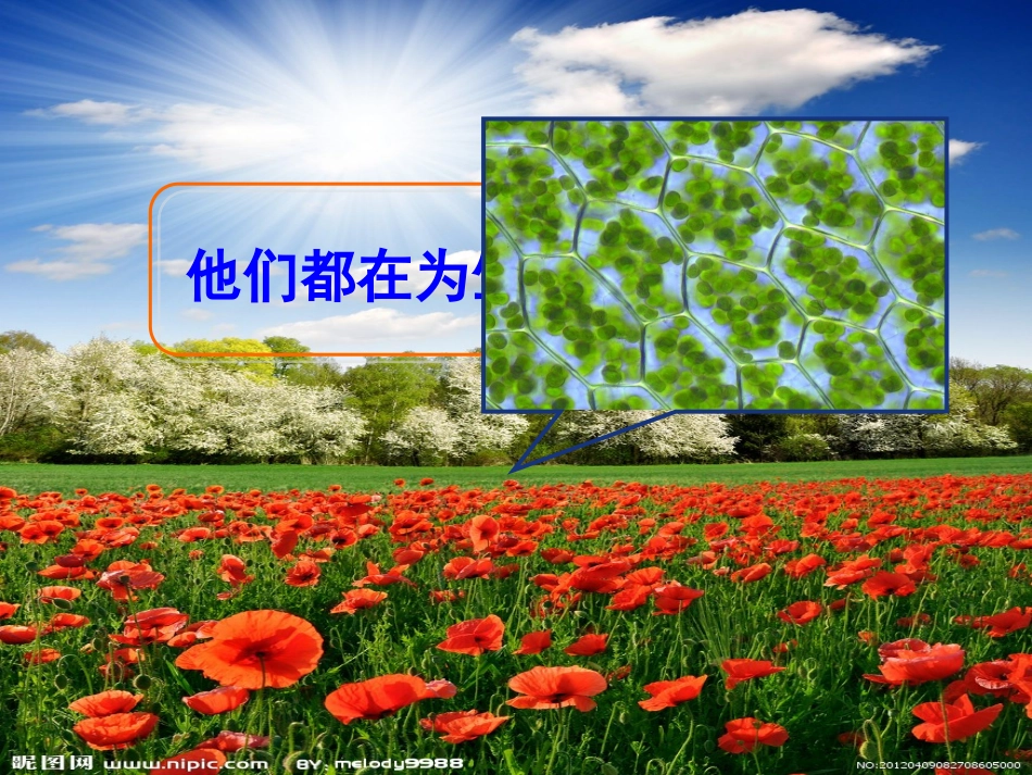 黑龙江省大庆市铁人中学高中生物5.1降低化学反应活化能的酶课件新人教版必修1_第1页