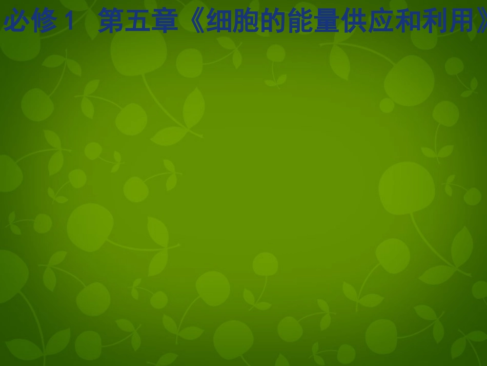 黑龙江省大庆市铁人中学高中生物5.1降低化学反应活化能的酶课件新人教版必修1_第2页