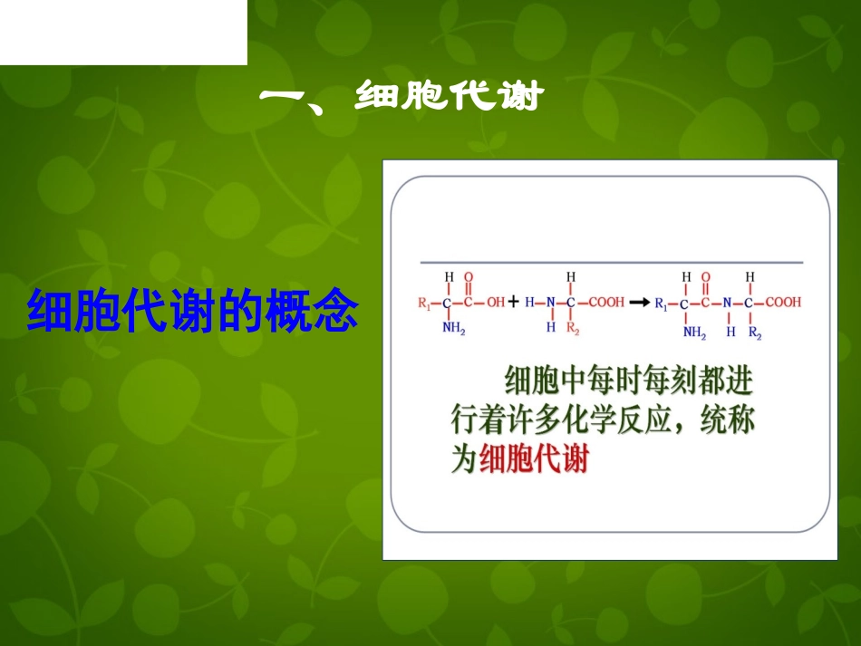 黑龙江省大庆市铁人中学高中生物5.1降低化学反应活化能的酶课件新人教版必修1_第3页