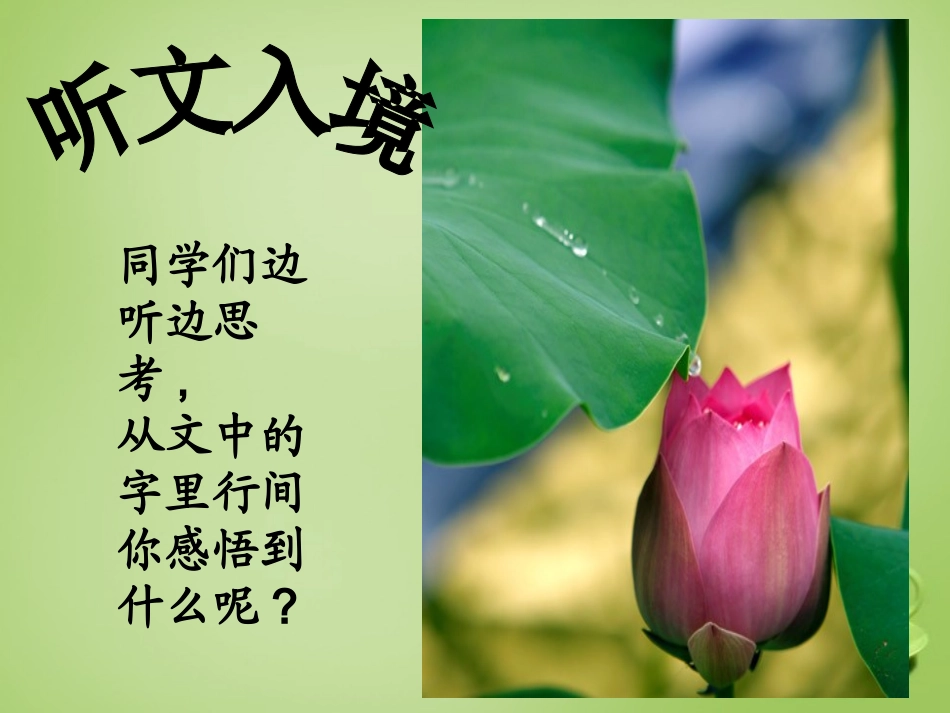 七年级语文上册4荷叶母亲参考课件2新版新人教版_第2页