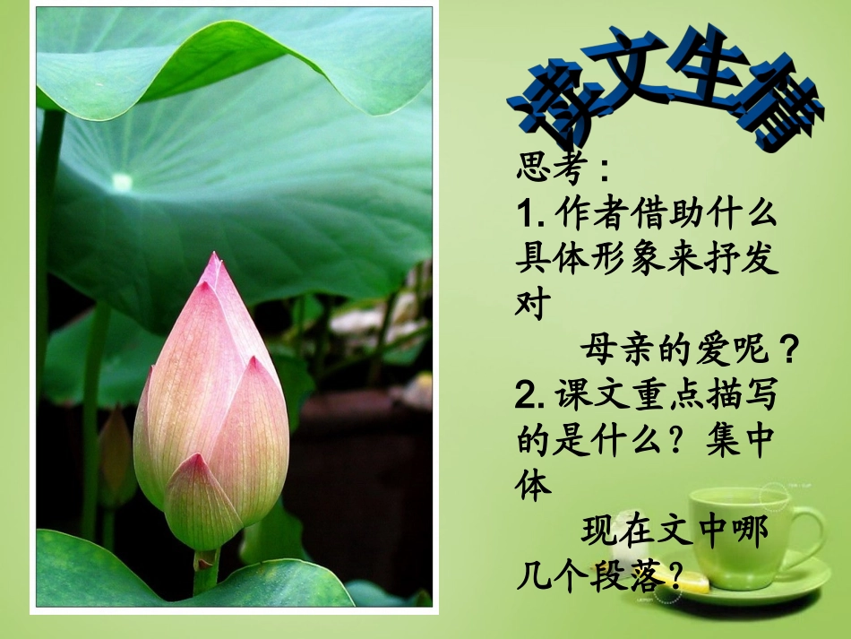 七年级语文上册4荷叶母亲参考课件2新版新人教版_第3页