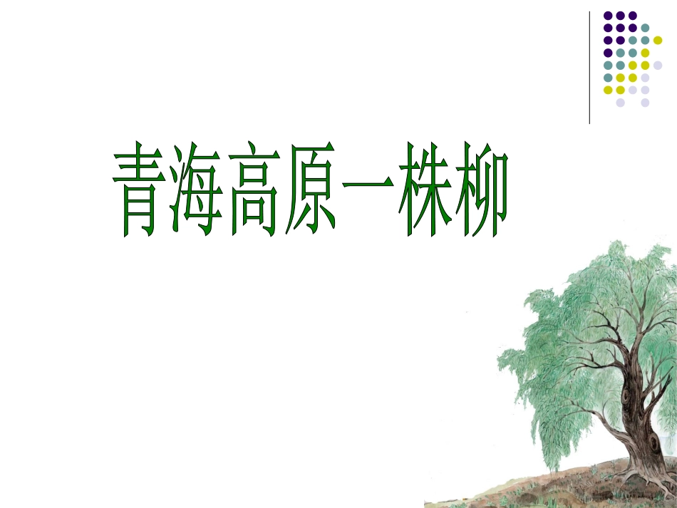 《青海高原一株柳》课件1_第2页