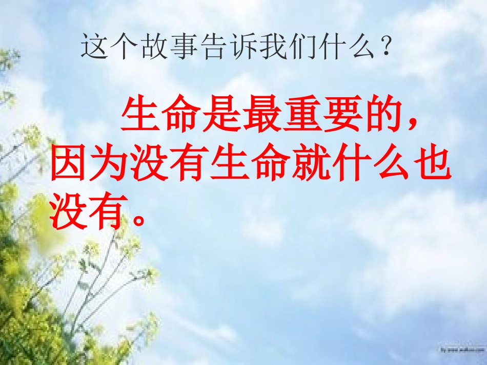 热爱生命陈学新_第3页