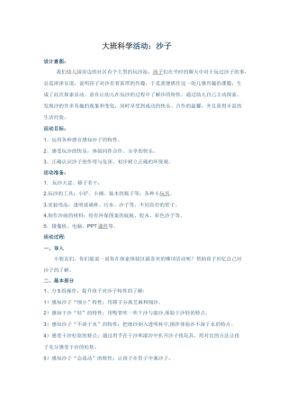 大班活动沙子